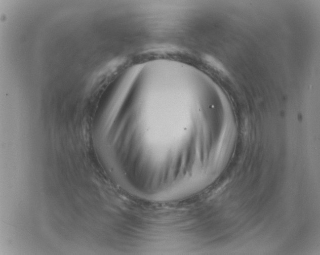 X0000073741398200608311858