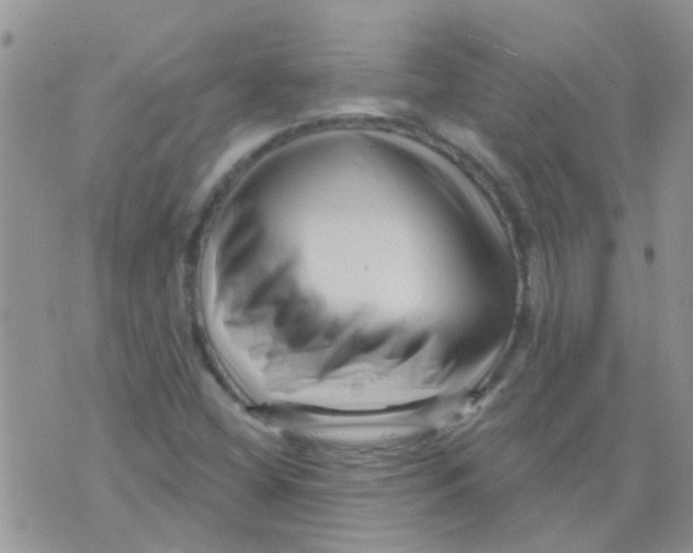 X0000073741404200608311858