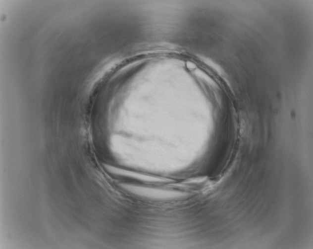 X0000073741407200608311858