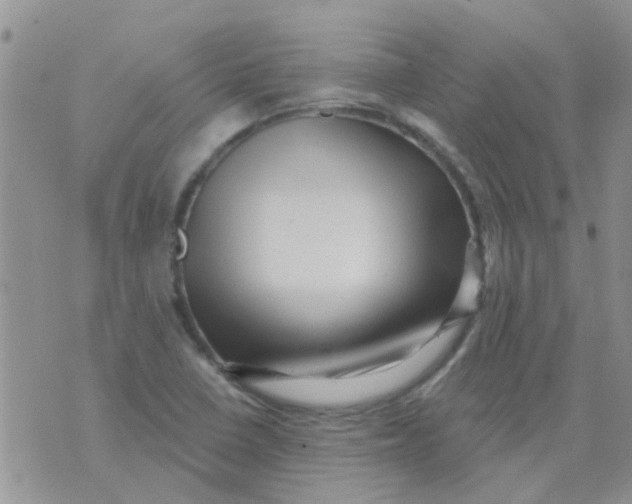 X0000073741410200608311858