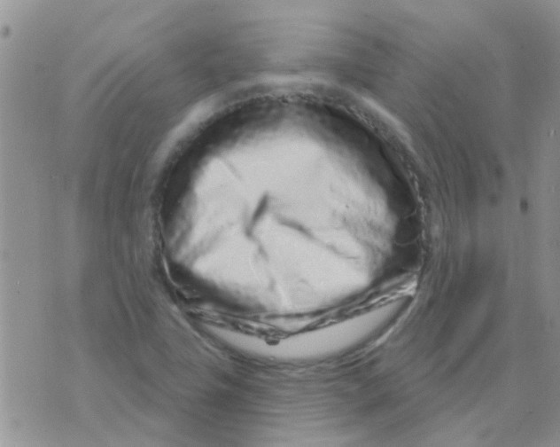 X0000073741411200608311858