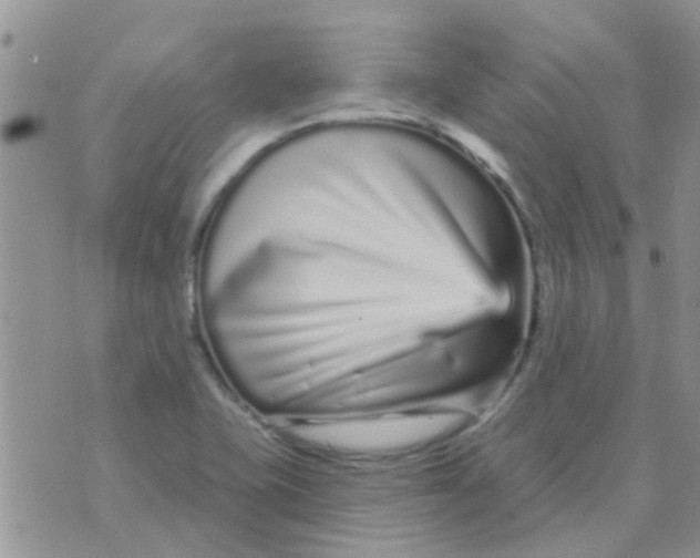 X0000073741415200608311858