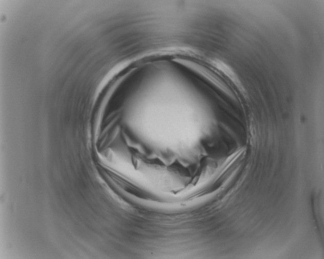 X0000073741420200608311859