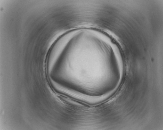 X0000073741423200608311859