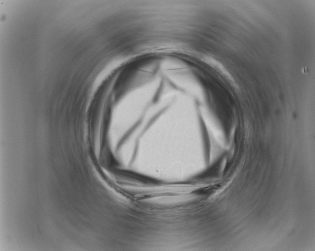 X0000073741424200608311859