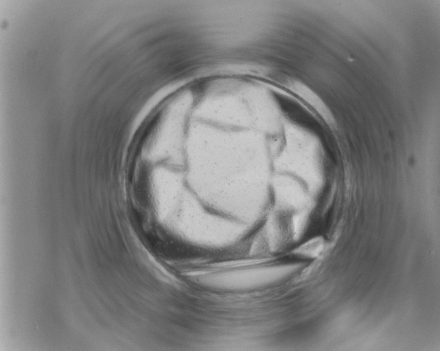 X0000073741436200608311859