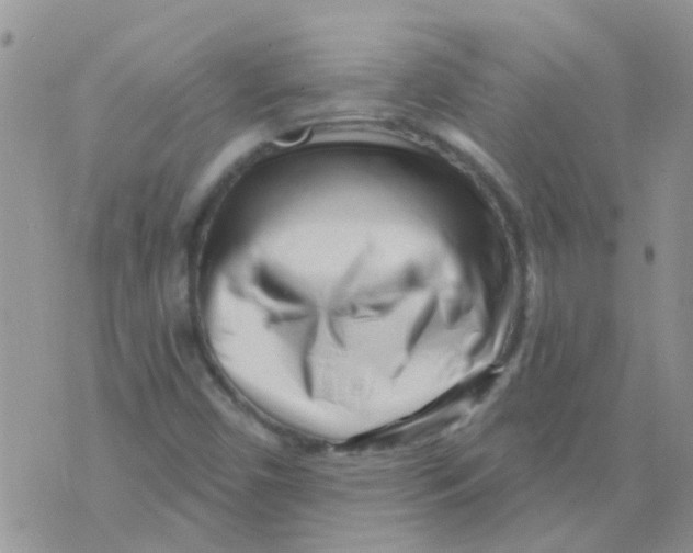 X0000073741450200608311858