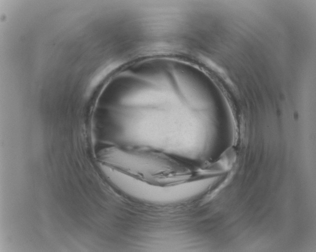 X0000073741453200608311858