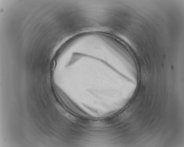 X0000073741460200608311858