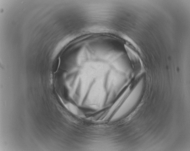 X0000073741461200608311858