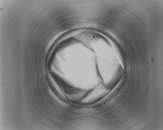 X0000073741468200608311858
