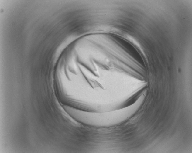 X0000073741480200608311857