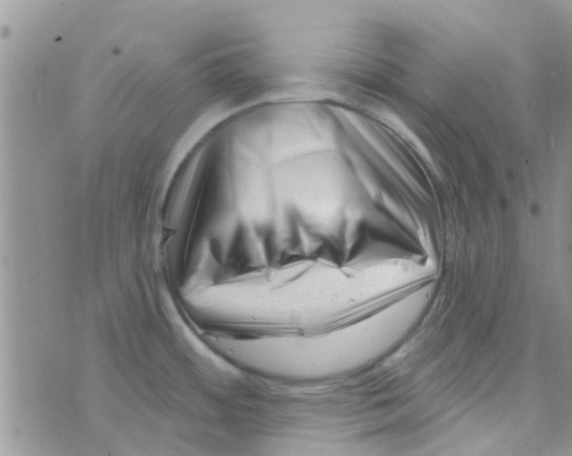 X0000073741484200608311857