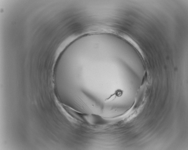 X0000073741485200608311857