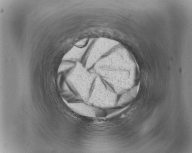 X0000073741489200608311857