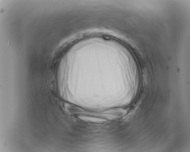 X0000073741494200608311857