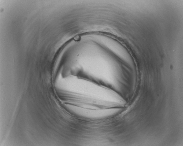 X0000073741505200608311857