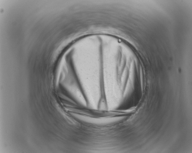 X0000073741507200608311857