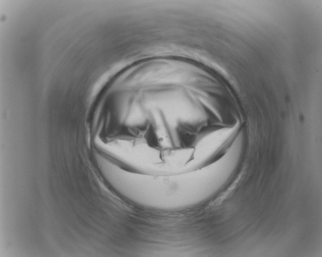 X0000073741509200608311857