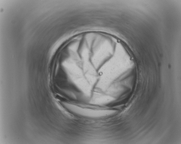 X0000073741511200608311857