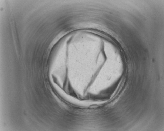 X0000073741521200608311857