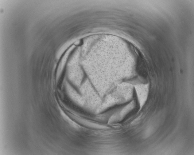 X0000073741527200608311857