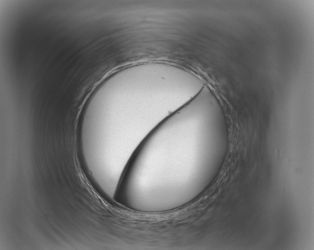 X0000073750002200608031147
