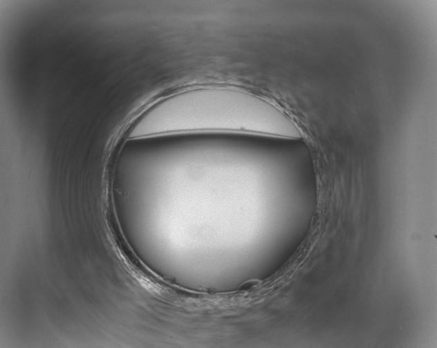 X0000073750005200608031147