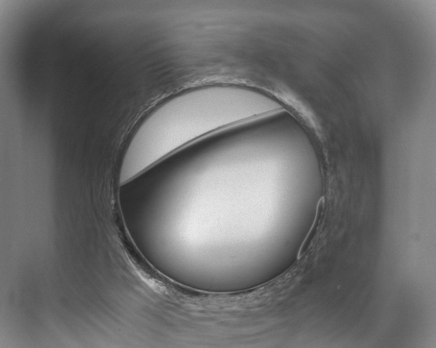 X0000073750009200608031147