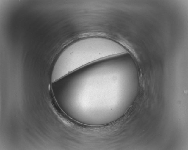 X0000073750013200608031147