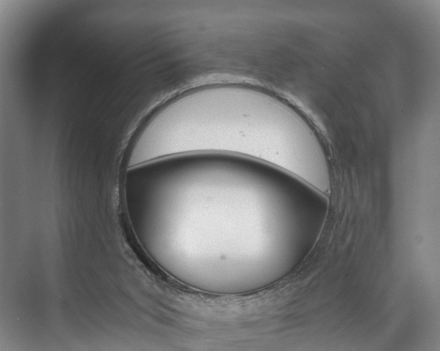 X0000073750015200608031147