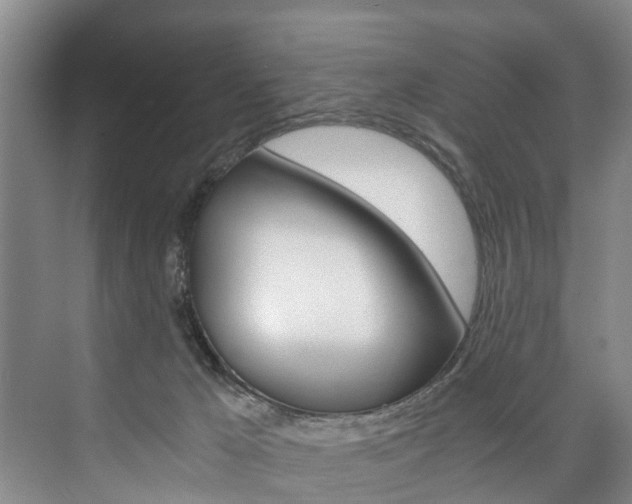 X0000073750029200608031147