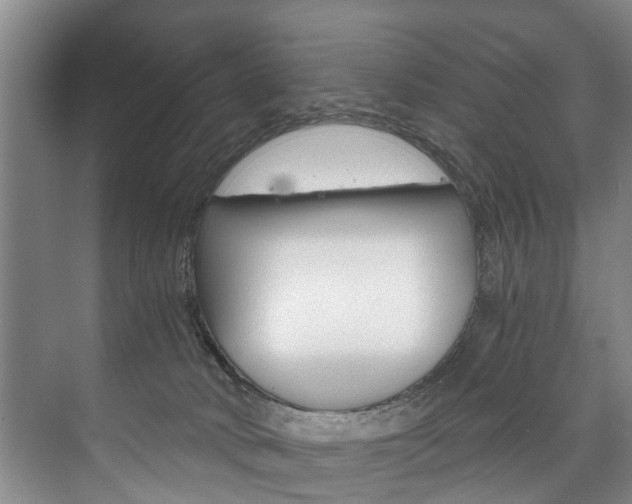 X0000073750034200608031147
