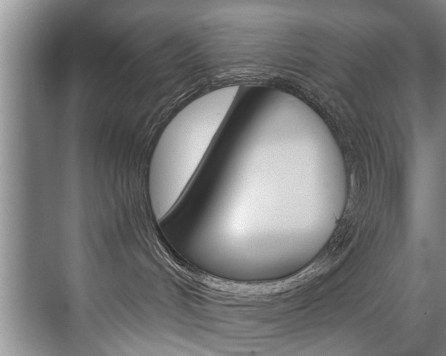 X0000073750048200608031146