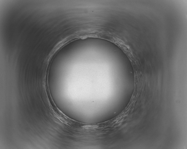 X0000073750051200608031146