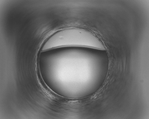 X0000073750054200608031146