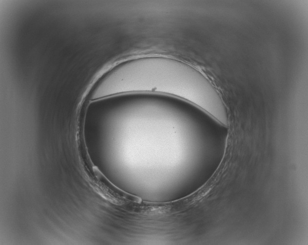 X0000073750056200608031146