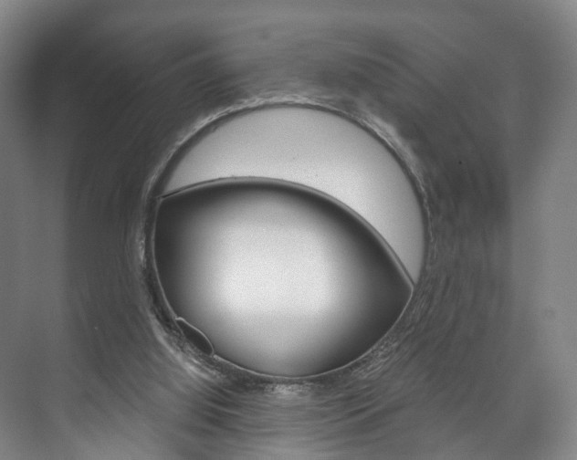 X0000073750060200608031146
