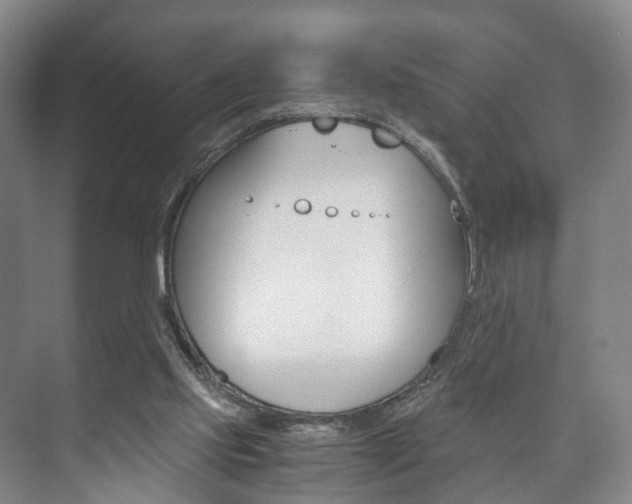 X0000073750061200608031146
