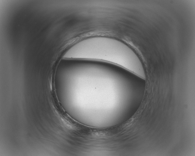 X0000073750062200608031146