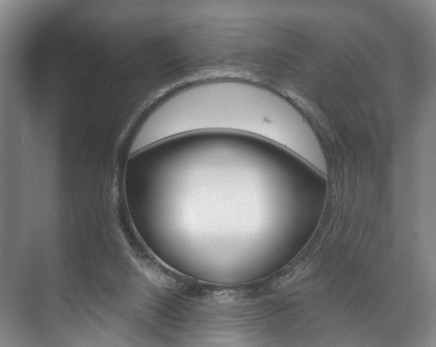 X0000073750064200608031146