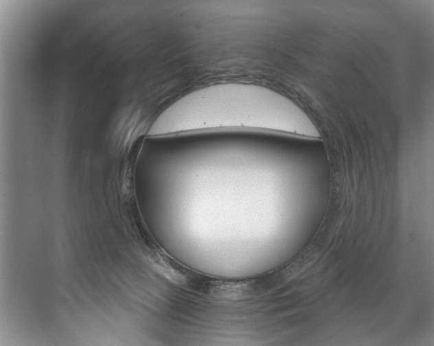 X0000073750081200608031146