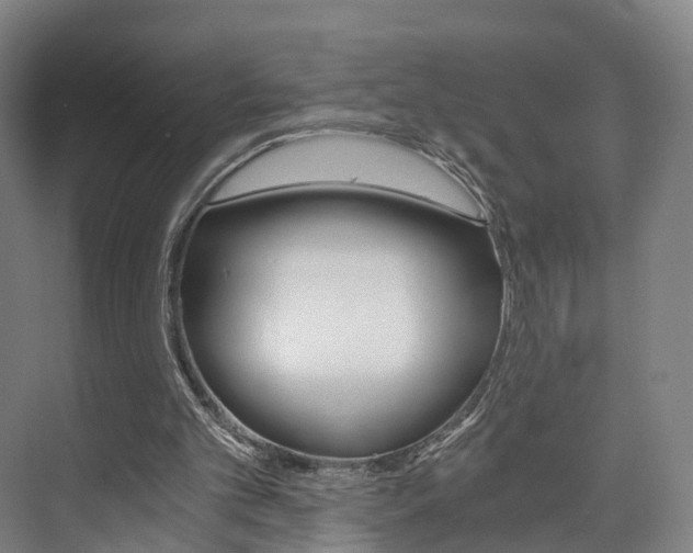 X0000073750101200608031146
