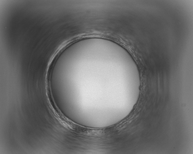 X0000073750102200608031146