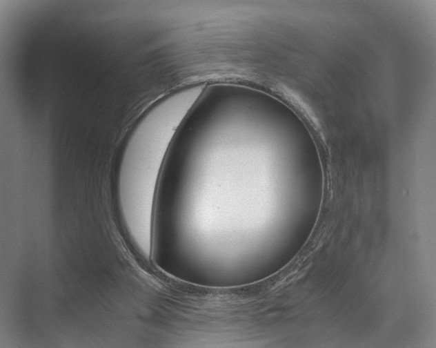 X0000073750105200608031146