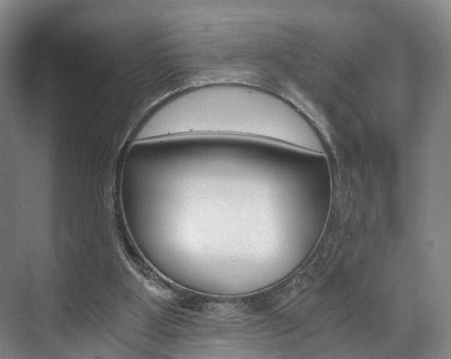 X0000073750107200608031145