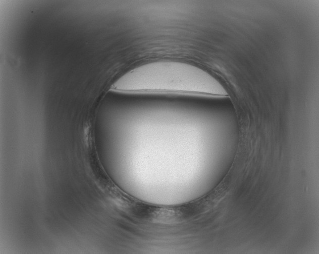 X0000073750123200608031145
