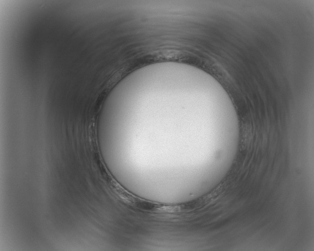 X0000073750126200608031145