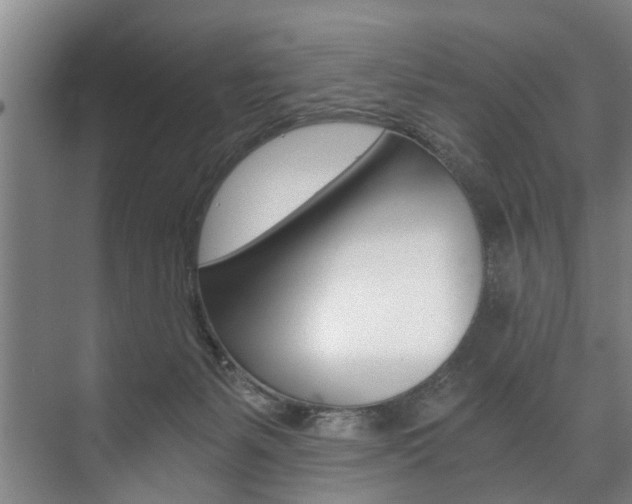 X0000073750127200608031145