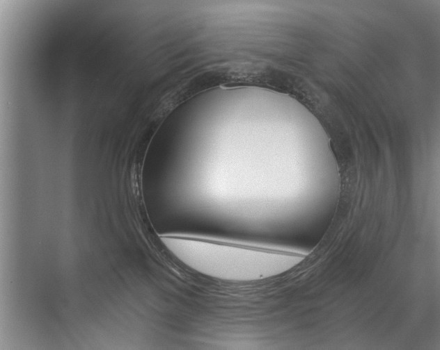 X0000073750137200608031145